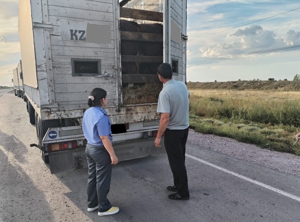 Рейдовые мероприятия с Кулундинским отделением Россельхознадзора по Алтайскому краю и Республике Алтай